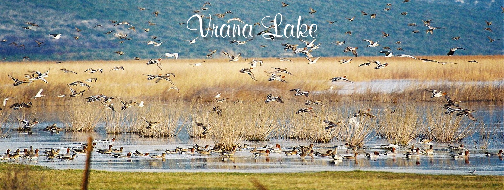 Vrana Lake